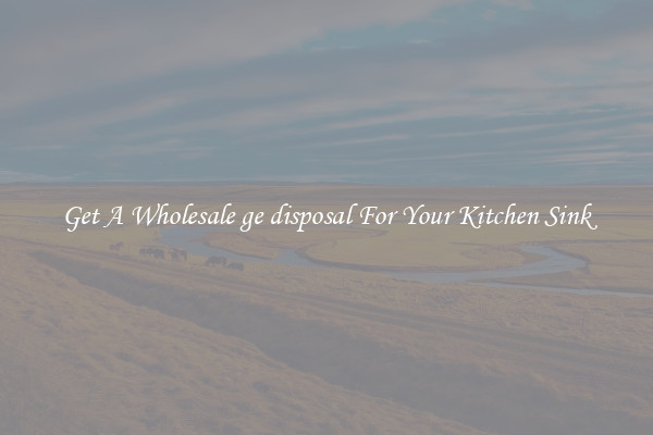 Get A Wholesale ge disposal For Your Kitchen Sink