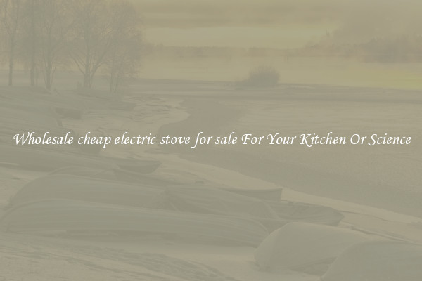 Wholesale cheap electric stove for sale For Your Kitchen Or Science