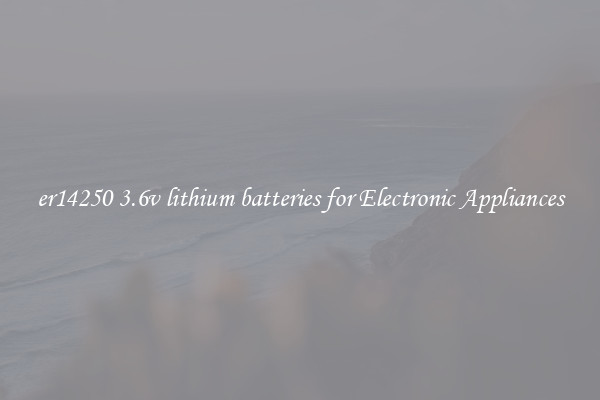 er14250 3.6v lithium batteries for Electronic Appliances