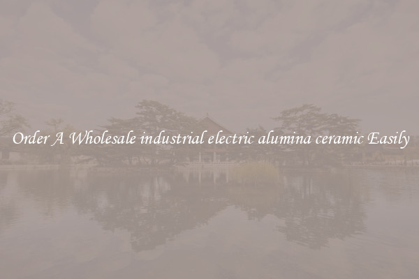 Order A Wholesale industrial electric alumina ceramic Easily