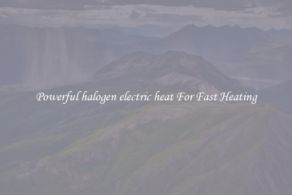 Powerful halogen electric heat For Fast Heating