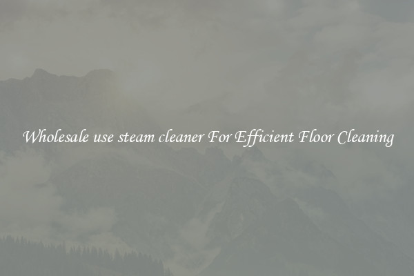 Wholesale use steam cleaner For Efficient Floor Cleaning