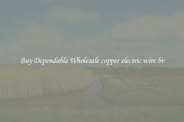 Buy Dependable Wholesale copper electric wire bv