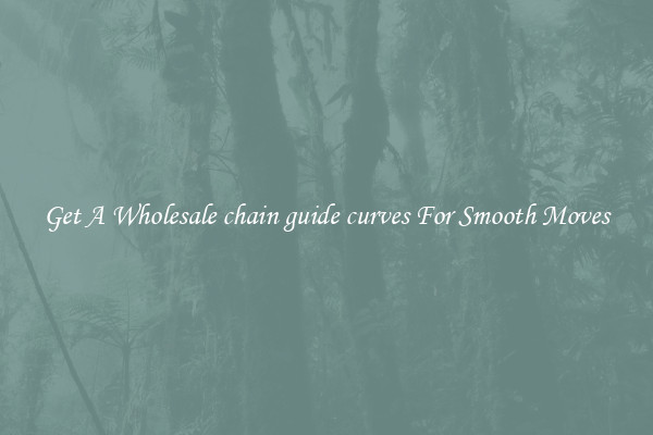 Get A Wholesale chain guide curves For Smooth Moves