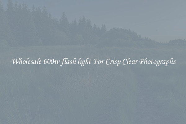 Wholesale 600w flash light For Crisp Clear Photographs