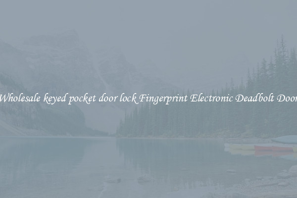 Wholesale keyed pocket door lock Fingerprint Electronic Deadbolt Door 