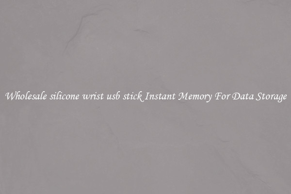 Wholesale silicone wrist usb stick Instant Memory For Data Storage