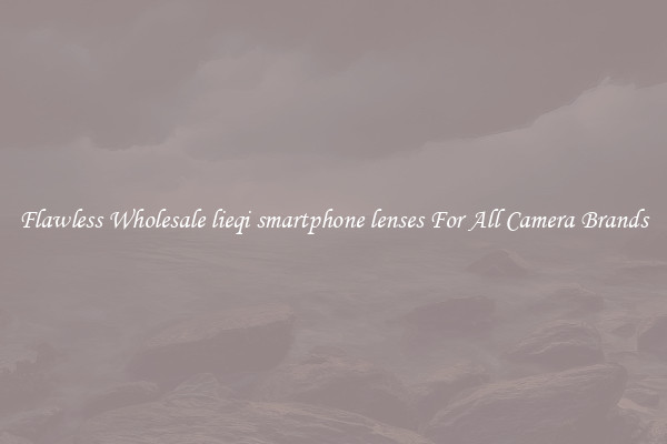 Flawless Wholesale lieqi smartphone lenses For All Camera Brands