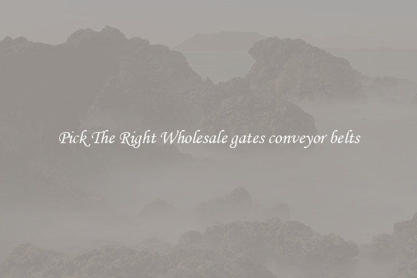 Pick The Right Wholesale gates conveyor belts