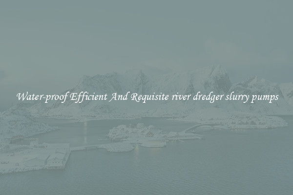 Water-proof Efficient And Requisite river dredger slurry pumps