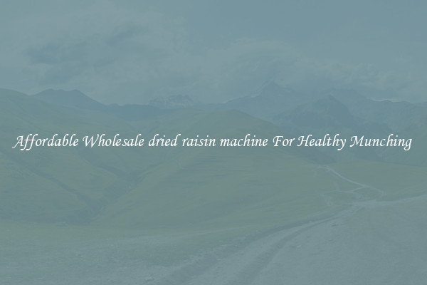 Affordable Wholesale dried raisin machine For Healthy Munching 